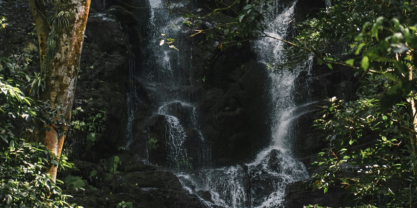 Explore the breathtaking San José, Costa Rica waterfalls, surrounded by lush rainforests and stunning natural beauty.