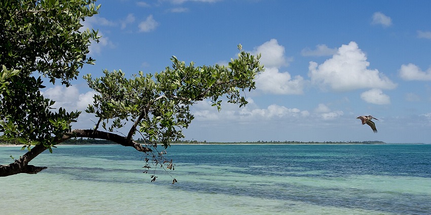 Sian Ka’an Biosphere Reserve with calm blue water, green vegetation, and a bird flying.