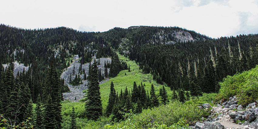 Citadel Hill is surrounded by trees and greenery with a mountain backdrop.