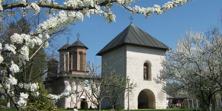Snagov Monastery with bell tower framed by blooming white spring blossoms under a blue sky, one of the top places to visit near Bucharest.