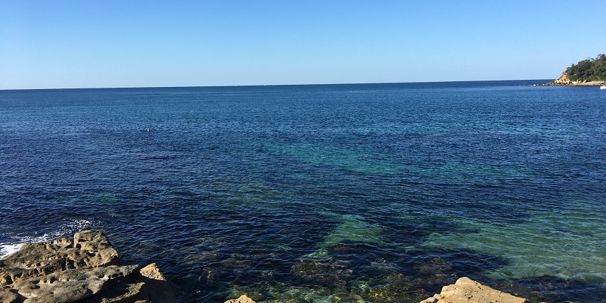 Snorkeling in clear waters is one of the things to do in Manly on a sunny day.