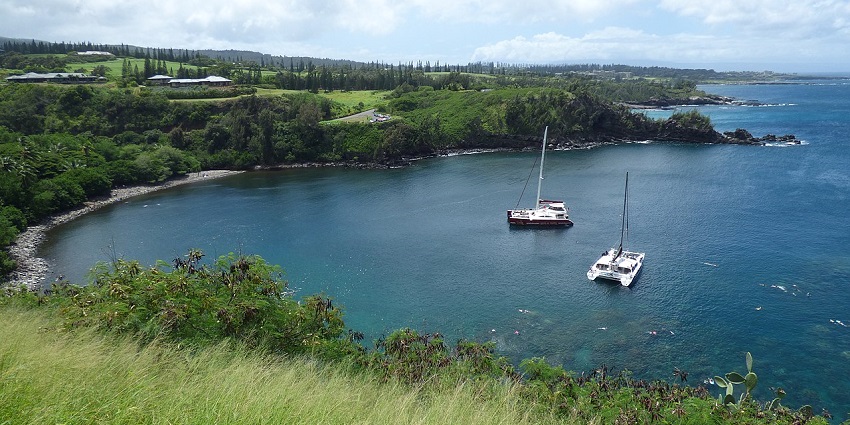 Honolua Bay from above, with multiple snorkelling boats and green trees near the shore.
