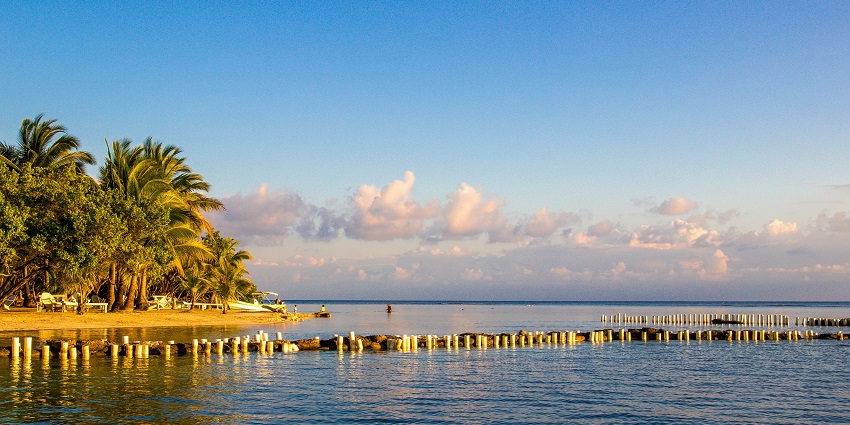 Peaceful tropical beach with clear turquoise water, soft sand, and palm trees in the sun.