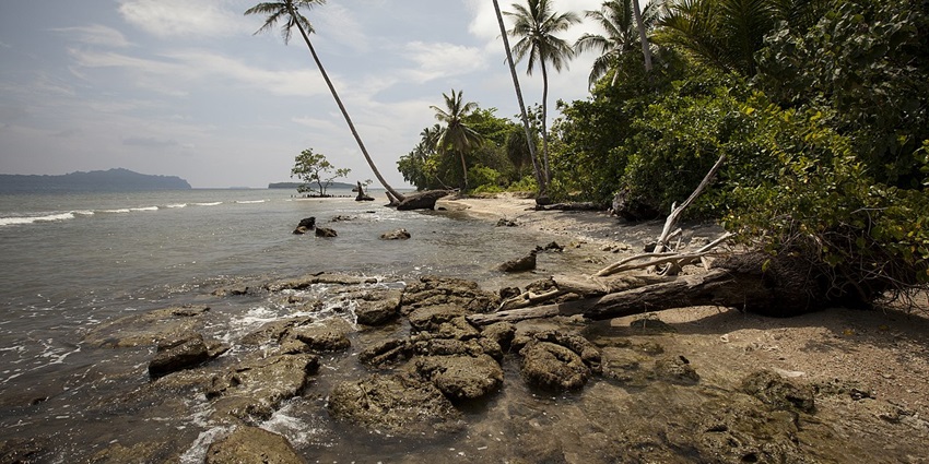 Pristine beaches and tropical forests of Solomon Islands, top places to visit near New Zealand.