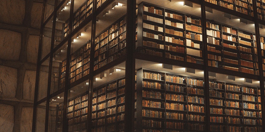Reading in a cosy book nook is one of the most enriching things to do in Pearl.