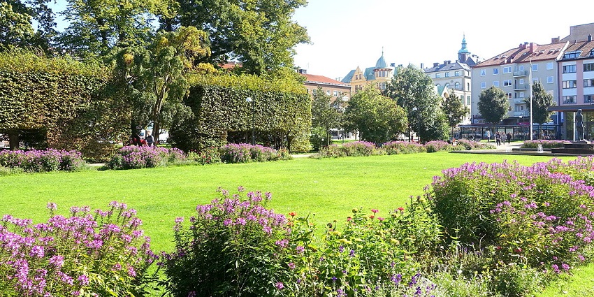 Vallarna Park in Falkenberg, with blooming purple flowers and green trees, amongst the top things to do in Falkenberg, Sweden.