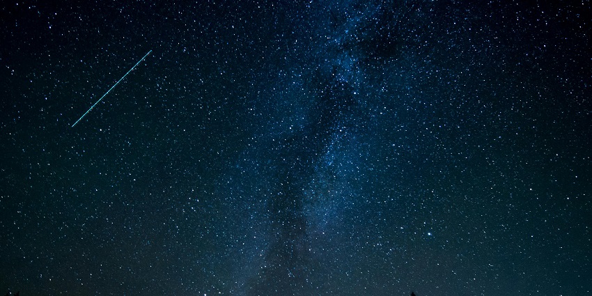 Stargazing in a tranquil forest at evening with soft light filtering through tall trees.