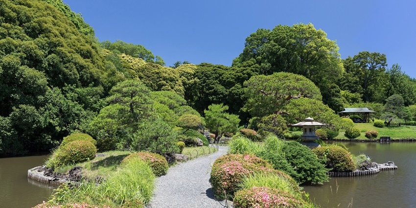 Walking pathway with uniquely cut bushes, flowers on the bushes and tall green trees