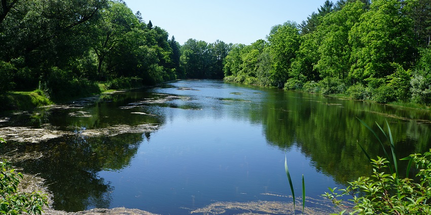 A peaceful park area with walking paths, greenery, and a fish hatchery pond at Fish Hatchery Park.
