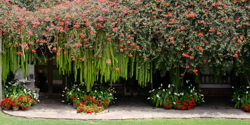 Exploring the lush Felipe Marín Moreno Botanic Garden is a top enchanting thing to do in Pisac Peru.