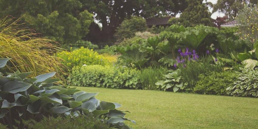 Garden with finely cut green grass, bushes, plants and unique flowers at a distance