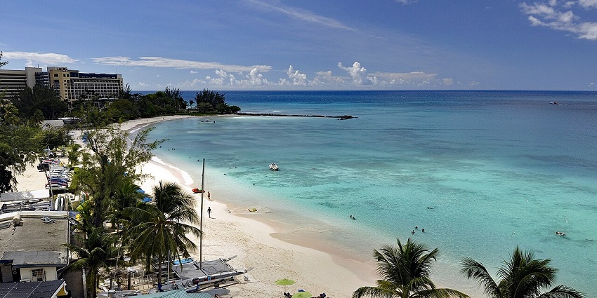 Carlisle Bay from above with a clear water body of the sea, sandy shoreline and tall palm trees.
