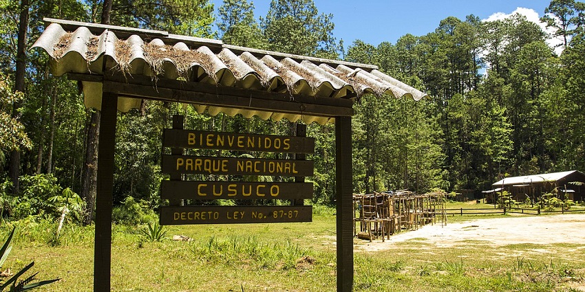 Cusuco National Park features lush green trees and rustic wooden structures.
