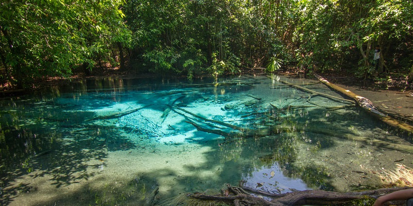 Blue Pool at Sa Morakot in Krabi with vibrant blue water surrounded by dense forest.
