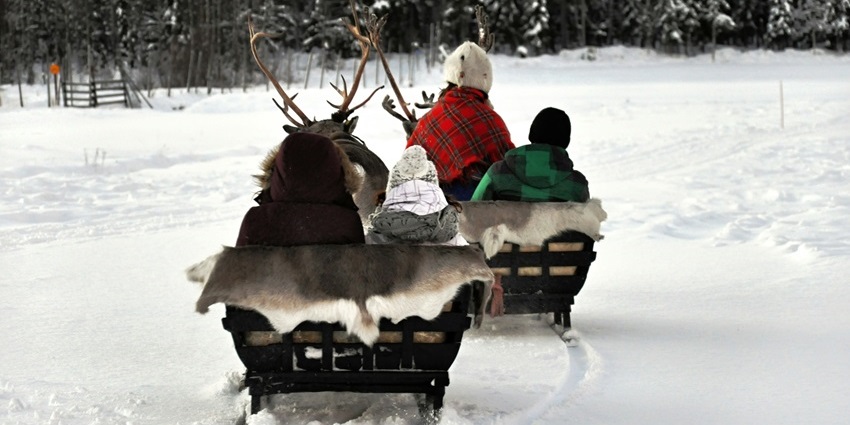 Experiencing a reindeer sleigh ride is one of the best things to do in Lapland.