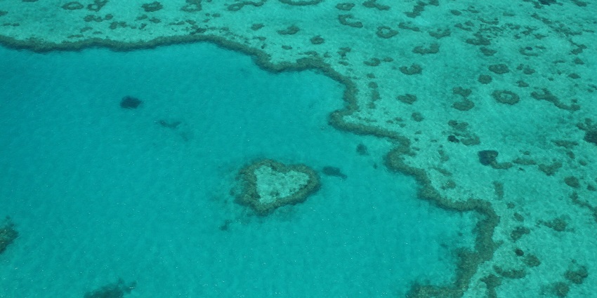 Hamilton Island Heart Reef from above with clear blue water and heart-shaped corals in the water.