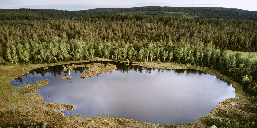 Scenic view of the Suseån River flowing through Grimsholmen Nature Reserve.