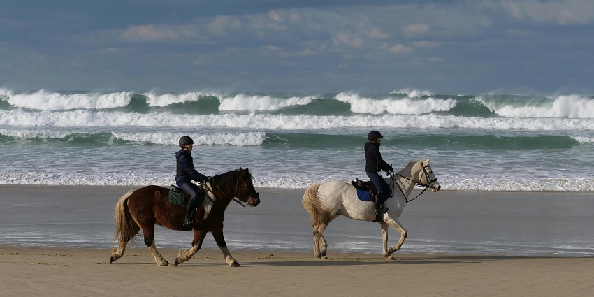 Ride horses along the beach, a beautiful and relaxing activity for couples.
