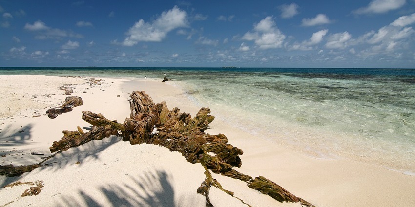 Silk caye with clear water of the ocean, sandy shoreline, distant birds and a blue cloudy sky