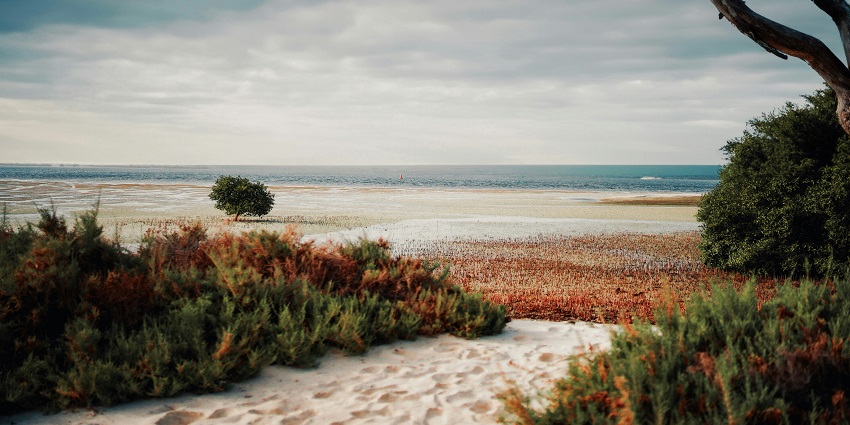 Yas Island with beautiful sandy beaches, one of the relaxing places to visit near Qatar.