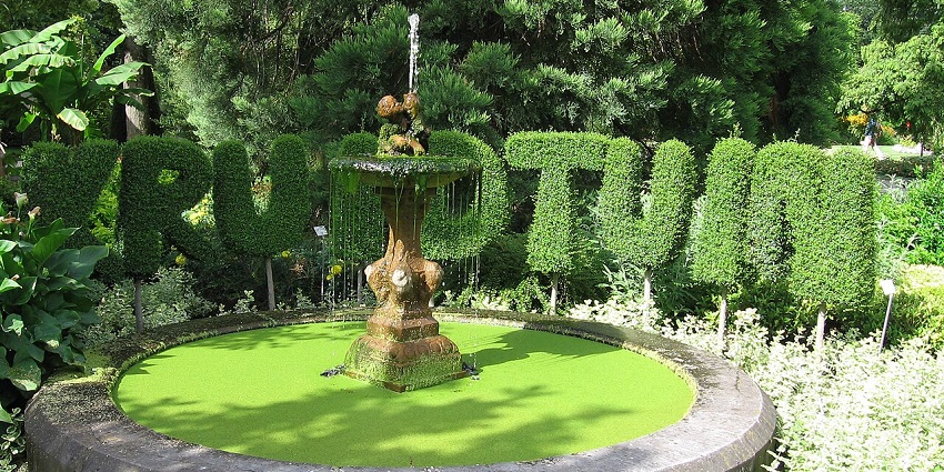 Exploring Kruidtuin’s Botanical Garden is one of the things to do in Leuven.
