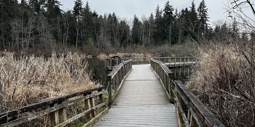 Wooden dock at Scriber Lake Park in Lynnwood on a winter day, one of the best things to see in Lynnwood.