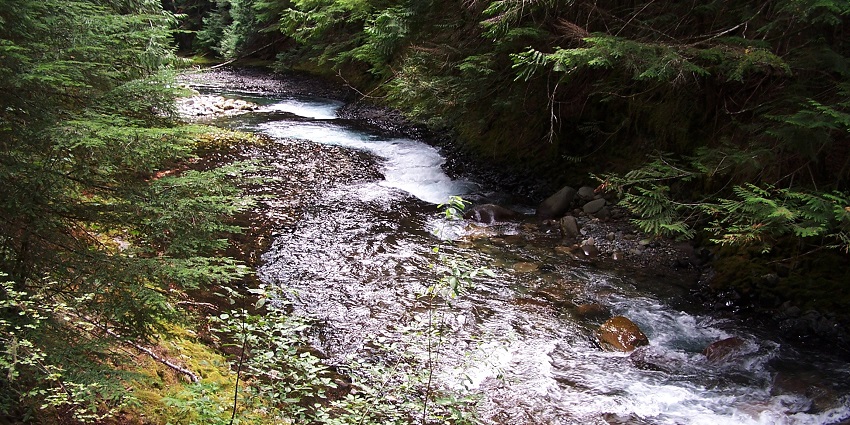 Explore breathtaking places with waterfalls in Vancouver, Canada, where nature's beauty meets cascading streams.