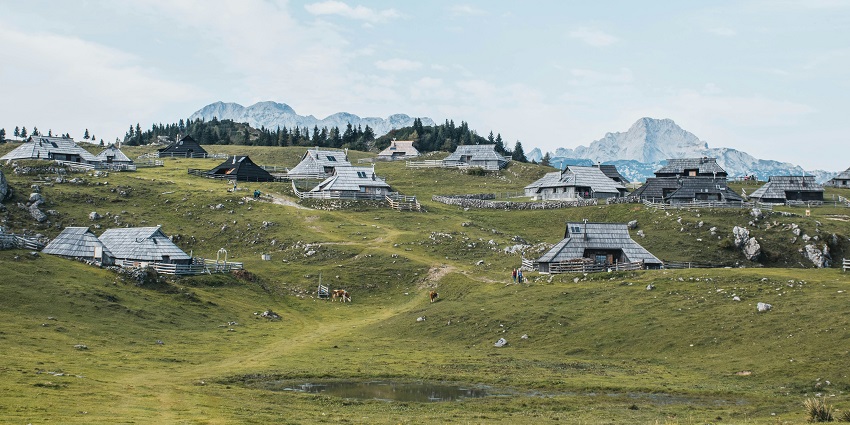 Traditional wooden huts on a grassy alpine meadow dotted with wildflowers under a clear blue sky.