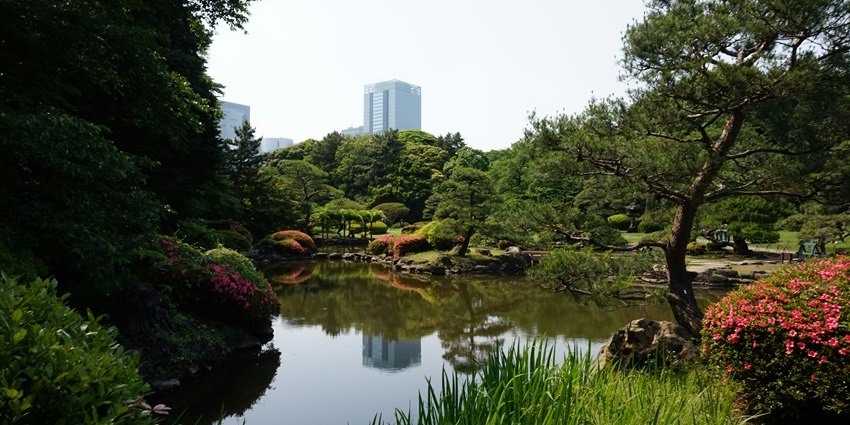Strolling through the peaceful Hisaya-Odori Park is the top things to do in Nagoya at night.