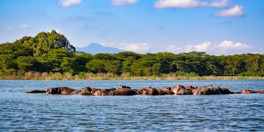 Exploring the serene Crater Lake Game Sanctuary, one of the best things to do in Naivasha.