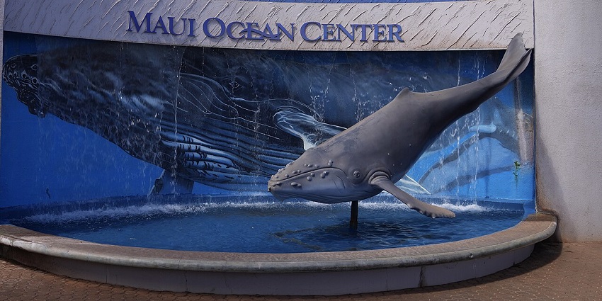 Exterior view of Maui Ocean Center with visitors walking near the entrance and clear blue sky above.
