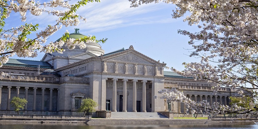 Discover the history at the Sternberg Museum, one of the fascinating things to do in Hays KS.