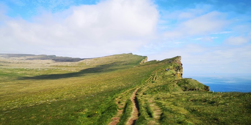 Exploring puffin cliffs is one of the best things to do in Iceland in summer.