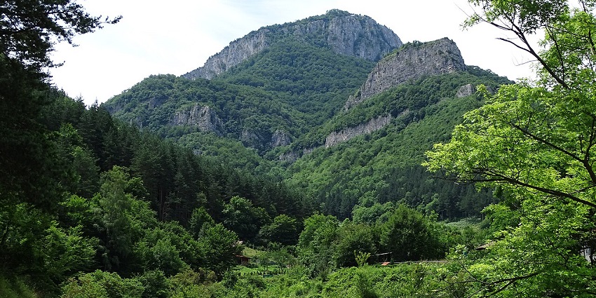 Vratsa Balkan Nature Park with a small walking pathway, dense greenery, and mountains.