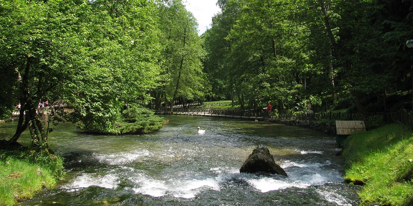 Vrelo Bosne with the water body of the Bosne River is surrounded by greenery.