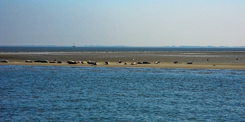 Wadden Sea coastal landscape amongst the best places to visit near Hamburg.