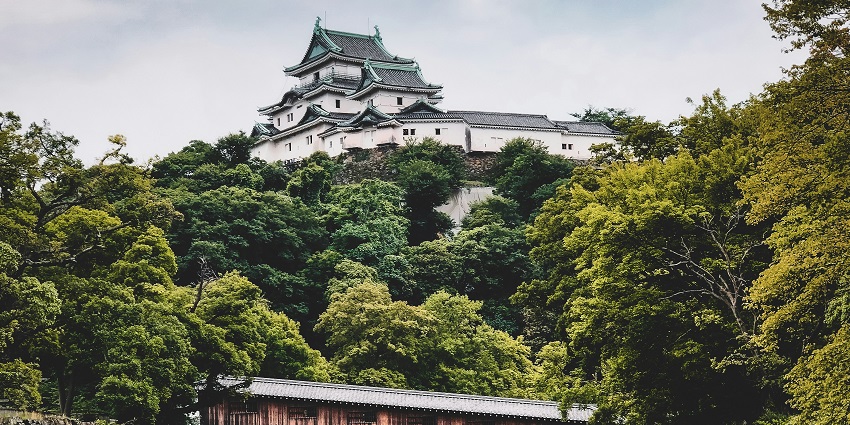 Wakayama Castle stands proudly with its traditional architecture and surrounding gardens.