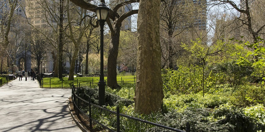Walking pathway in a city park with distant tall buildings and black metal fencing.