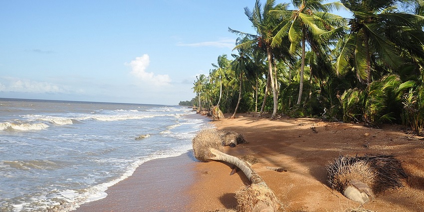 Shell Beach in Guyana with sandy shore and waves—popular things to do in Guyana.
