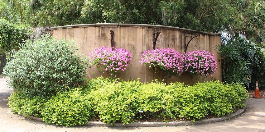 Colourful flowers and vibrant trees at Jacksonville Arboretum & Botanical Gardens.