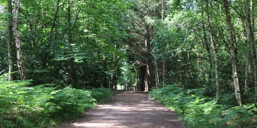 Walk along the scenic trail by Glossop Brook, a peaceful option for things to do in Glossop.
