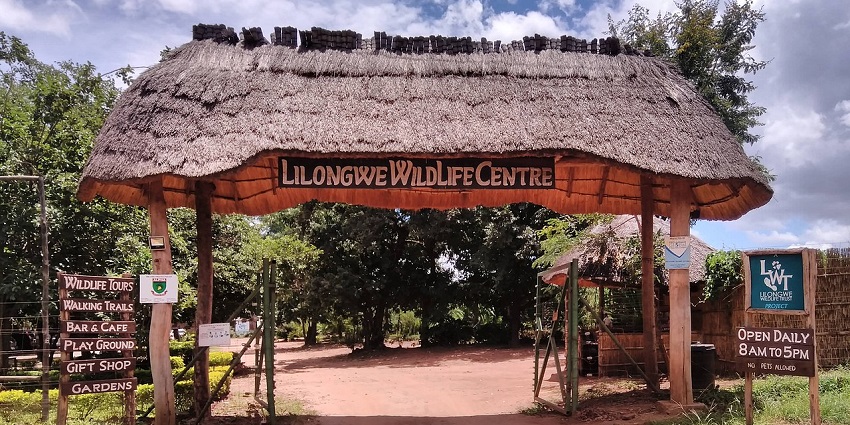 The lush thatched entrance of Lilongwe Wildlife Centre, visiting here is one of the things to do in Lilongwe.