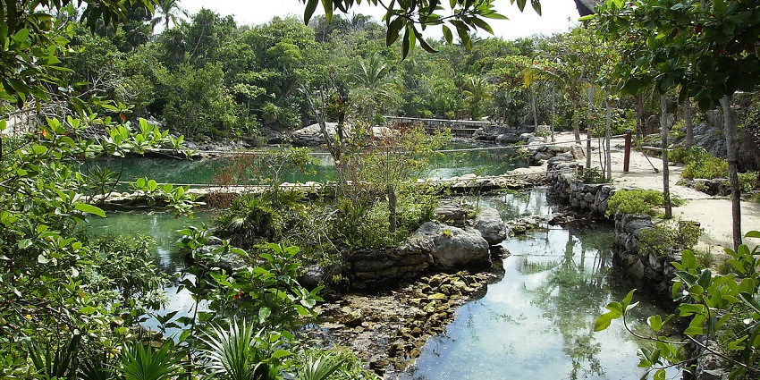 The peaceful pond at Xcaret is surrounded by rocky edges and dense tropical greenery, amongst the best places to visit near Cancun.