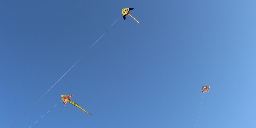 Colorful kites flying high in the sky during a vibrant kite flying festival.
