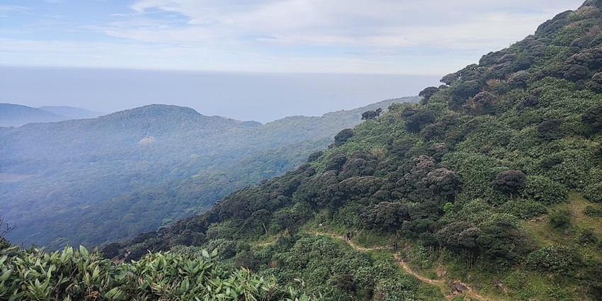 Agasthyakoodam mountain with dense green forest and cloudy sky in the background.
