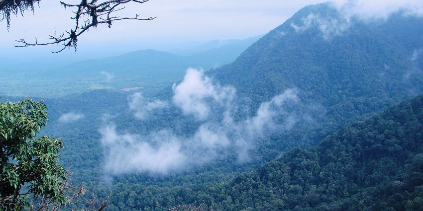 Valley view from Agumbe View Point depicting the hills with layers and the dense forest.

