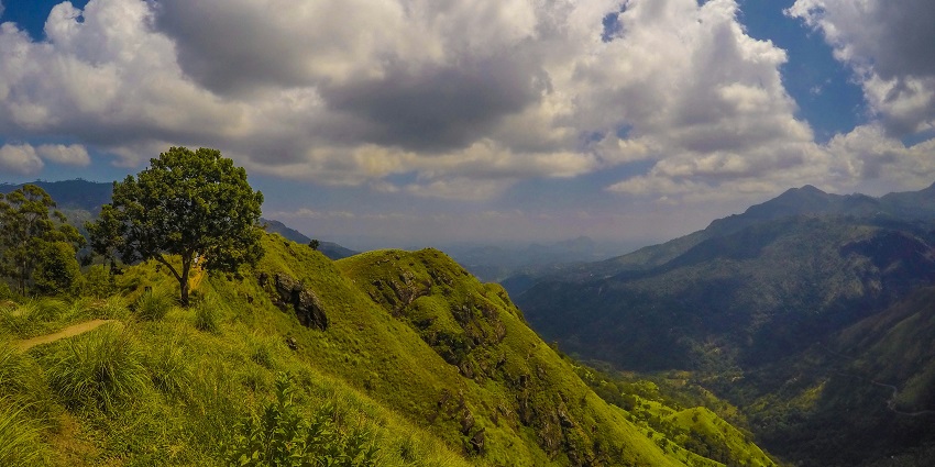 Dense Western Ghats rainforest in Agumbe, one of the best places to visit near Hebri.
