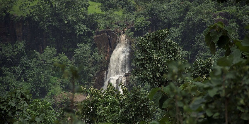 Waterfall in Gujarat with water falling at high pressure off a rocky cliff surrounded by greenery.
