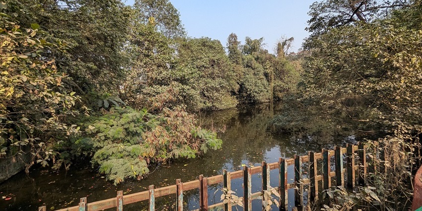 The Alipore Zoological Garden, with greenery and water, one of the beautiful places to visit near Ballygunge Kolkata.
