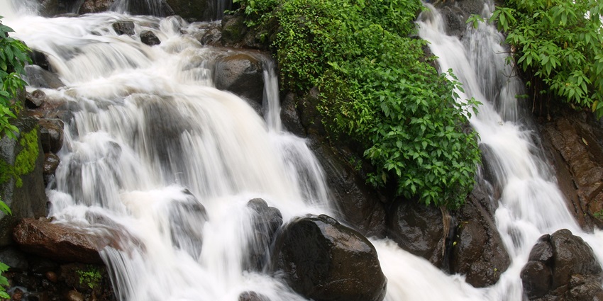 Amboli Waterfall, surrounded by lush greenery and misty hills, is a serene natural spot.